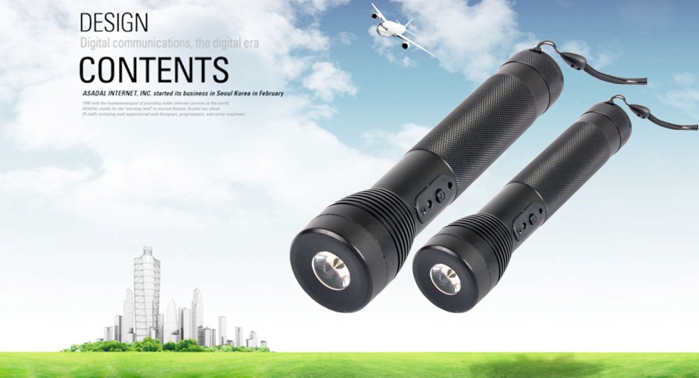 GPS320 Guard Patrol Tour Stick with LED Light
